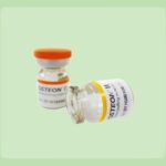 Osteon III