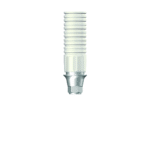 Dentium E-Metal-Casting Abutment [RAB45CLH]