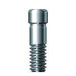 Dentium E-Angled Screw Abutment Screw ( ASASC2023)
