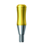 Dentium E-Positioner Abutment (PAB3560)