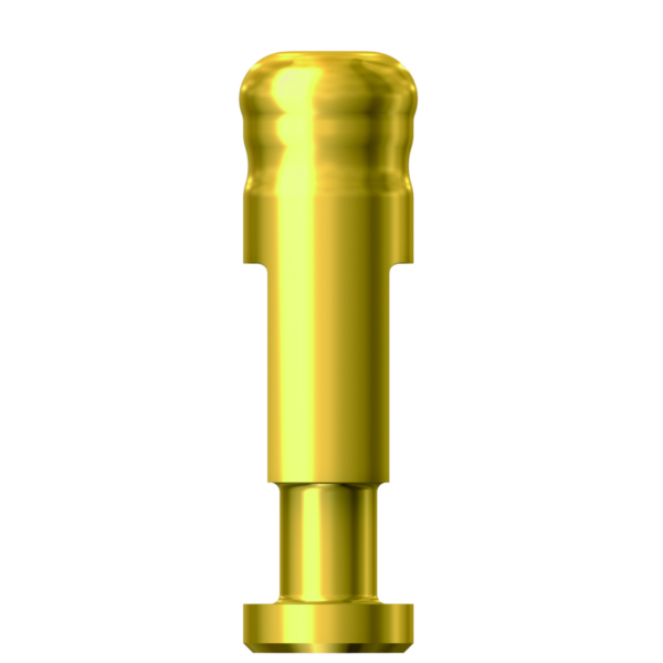 pan Dentium E-Positioner Analog (PAN)