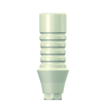Dentium E-Plastic Temp. Abutment (RAB4520PHL)