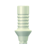 Dentium E-Plastic Temp. Abutment (RAB5520PHL)