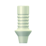 Dentium E-Plastic Temp. Abutment (RAB5520PNL)
